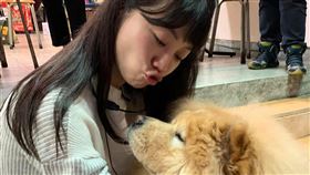 消毒區遛狗「必死無疑」？高嘉瑜：不要再造成更多附加傷害（圖／翻攝自高嘉瑜臉書）