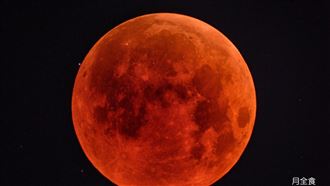 元宵節「赤馬碰紅月」！犯3禁忌恐毀財路