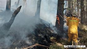 玉山森林大火／林務局嘉義林區管理處提供