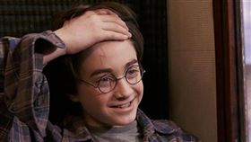 勿用)哈利波特（圖翻攝自網路）