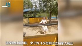 山東女子到動物園偷鳥蛋（圖／翻攝自燃新聞微博）