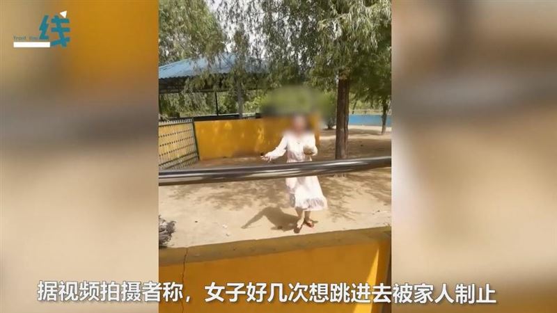 女動物園偷蛋鳥媽看呆　一幕激怒萬人