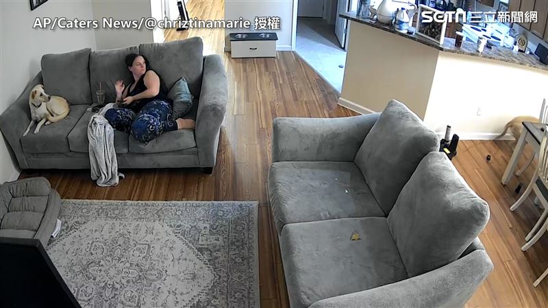 狗狗嚇到潰逃  監視器竟看到這景象