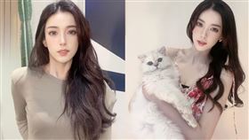 迅猛龍特蕾莎。（圖／翻攝自迅猛龍特蕾莎微博）

