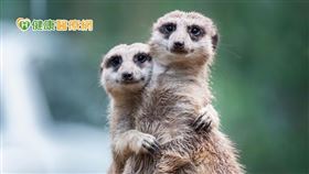 上班族平時工作用眼過度之下，乾眼疾病年輕化已是目前趨勢，除了眼睛疲勞、乾澀、痠痛之外，「視力模糊」也是國人需注意的前三名乾眼症狀，身為一位朝九晚五並時常加班的都市糊矇族，更需注意眼藥水僅能治標不治本，且可能越點越沒效。