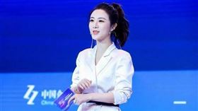 ▲薇婭與其先生董海鋒。（圖／翻攝自百度百科）