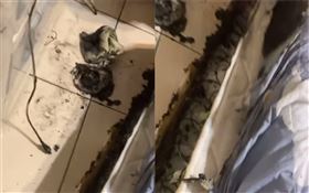 行動電源充電爆炸（圖／翻攝自爆料公社二社）
