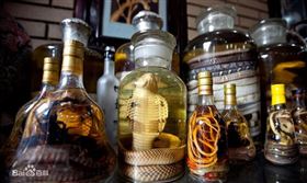 ▲蛇酒。（示意圖／翻攝自百度百科）