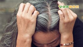 黃琇琴博士指出，當受損或老化的黑色素細胞，無法有效清除自由基，於是體內的防衛機制就會下令，關閉黑色素細胞的功能，停止製造黑色素，白髮就產生了。