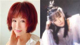 潘迎紫娃娃微博