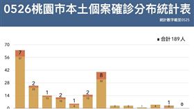 桃園,分佈圖,確診,（圖／翻攝自桃園市政府官網）