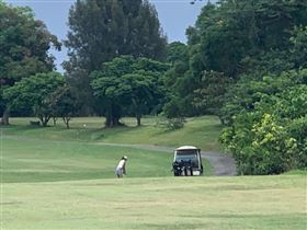 高爾夫球場,營業,疫情,新北,新北市府提供