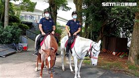 新北市，新北市警局，騎警隊，口罩，