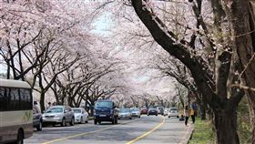 韓國濟州島。（圖／翻攝自pixabay）