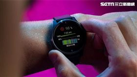 圖／garmin提供