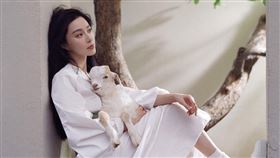 范冰冰沉澱兩年即將正式復出。（圖／翻攝自范冰冰IG）