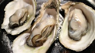 奶瓶消毒鍋蒸牡蠣　民宿求償遭已讀不回