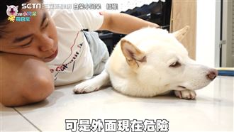 防疫宅在家悶壞萌柴　爸暖哄遭飛踢