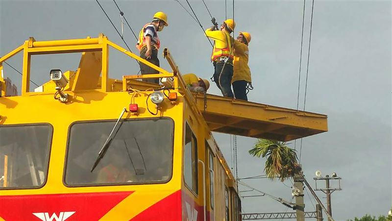 檳榔樹壓壞電車線！台鐵將向業者賠償