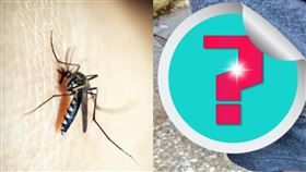 網友在釣具店買了「無霸勾蜓別針」別在身上，沒想到竟真有驅蚊蟲作用（圖／翻攝自「kamata4510471」推特）