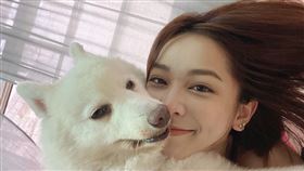 蔡祥養的狗會在她居家錄Podcast時，發出聲音在背景音中刷「存在感」。(圖／「好好聽FM」提供)