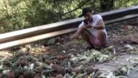 直播,象群,野象,水果,剩食,大象,大陸,中國,雲南
https://weibo.com/1618051664/Kign4EEFk?refer_flag=1001030103_&type=comment