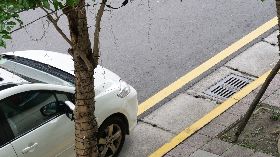 鼓勵民眾宅在家防疫  新北市假日開放