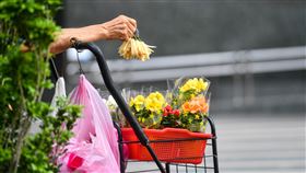 政院通過紓困4.0預算案　將送立院審議（2）行政院會3日通過紓困4.0特別預算案，將送請立法院審議，將送請立法院審議，其中針對自營作業者及無一定雇主之勞工生活補貼共編列440億元。圖為台北街頭一位賣玉蘭花的老人。中央社記者鄭清元攝  110月6月3日