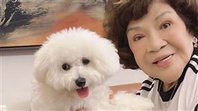 周遊。（周遊提供