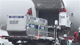 日本馳援台灣124萬劑AZ疫苗  班機下午抵台日本政府提供台灣124萬劑AZ疫苗，載運疫苗的日本航空班機準備就緒，準備起飛，預計下午抵達台灣桃園機場。（駐日代表處提供）中央社記者楊明珠東京傳真  110年6月4日