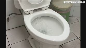 獨／驚呆了！淹水竟引發「馬桶倒灌」