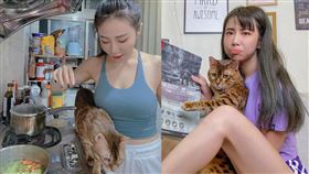 梓梓愛貓「豹豹」從家中走失四處急尋。（圖／翻攝自t40533 IG）