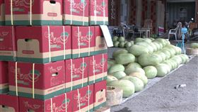 壽豐鄉西瓜田遭竊 吉安警成立專案小組全力偵辦（圖／花蓮吉安警分局提供）