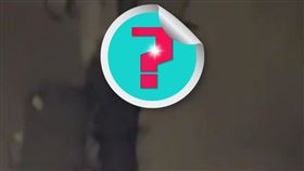  日本搞笑藝人「五明拓彌」深夜驚見電線桿上有3隻不明生物在爬行。（圖／翻攝自「五明拓彌」推特）