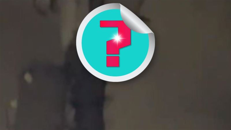 發光異獸深夜電線爬行！網嚇：被詛咒