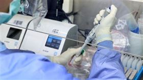 PCR檢驗、疫情、篩檢、新冠肺炎（圖／記者邱榮吉攝影）