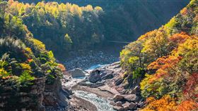 ▲芝生毛台山步道-封面。
（圖／Tripbaa趣吧！旅遊平台）