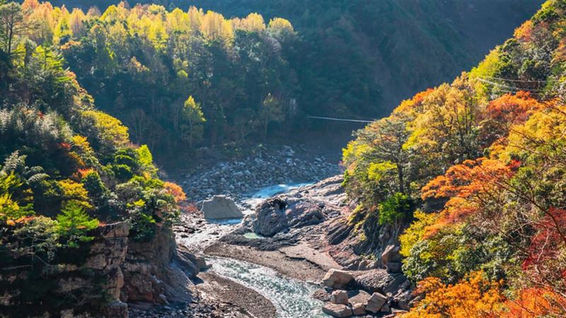 新竹芝生毛台山難度、交通、行前準備