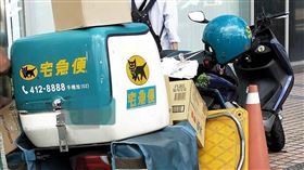 黑貓,熊貓,跳槽,罰單(翻攝自 爆怨2公社)