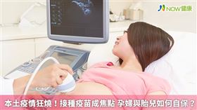 名家專用／NOW健康／胎盤除能供應養分之外，也具有保護防衛功能，媽媽的抗體能透過胎盤和臍帶傳送給胎兒。(勿用)