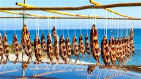 （圖／勿用！！！！！！！！！）帶著它探索蘭嶼！從定焦到變焦　紀錄世界級的台灣秘境	