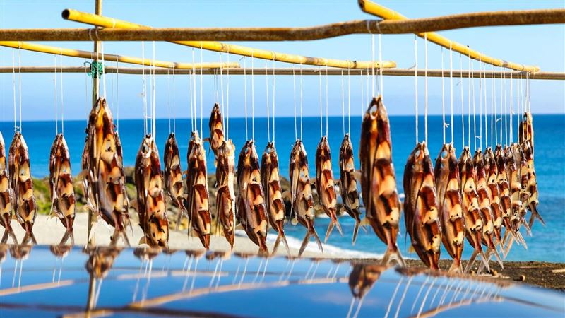 帶著它探索蘭嶼！紀錄世界級台灣秘境