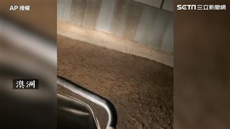 澳洲嚴重鼠患 政府投放地表最強毒藥