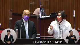 圖／翻攝自立法院議事轉播頻道 蘇貞昌 陳玉珍
