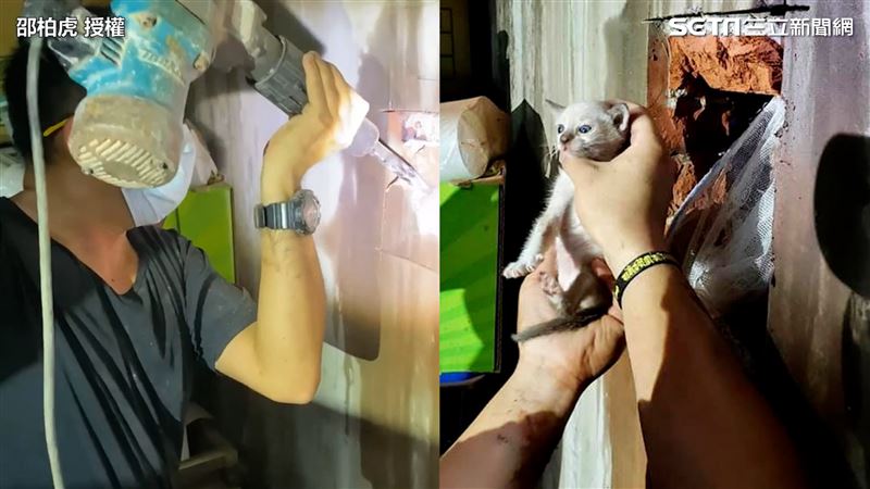 小奶貓困縫隙！店家霸氣同意破牆救出