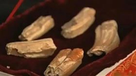 老翁聲稱自己小時候曾見過龍，還拿出「5塊龍骨」來證明。（圖／翻攝自《洞察軍事》） 