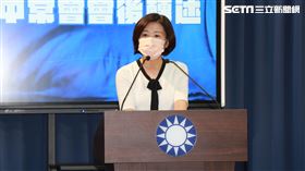 國民黨文傳會主委王育敏 圖／國民黨提供