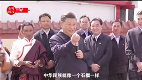 習近平說，中華民族就像石榴籽一樣，圖／翻攝自央視微博