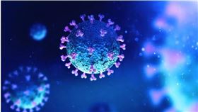 武漢肺炎病毒(圖/翻攝自美國國家科學院期刊PNAS官網》