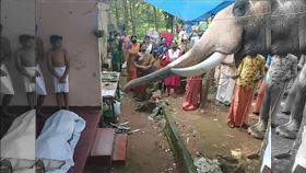 大象(圖/翻攝自臉書ബിജു നിള്ളങ്ങൽ)